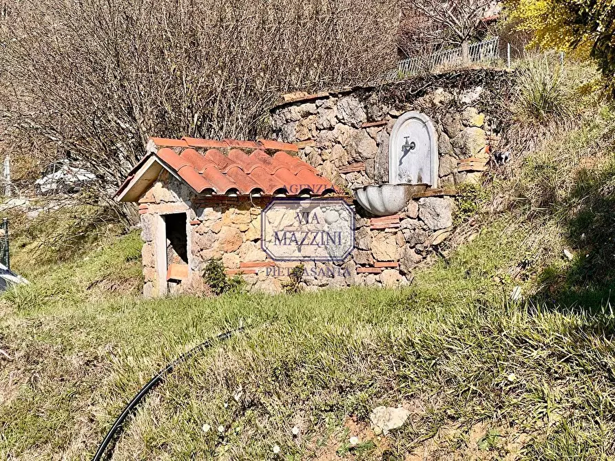 Immagine 18 di Casa colonica in vendita  a Pietrasanta