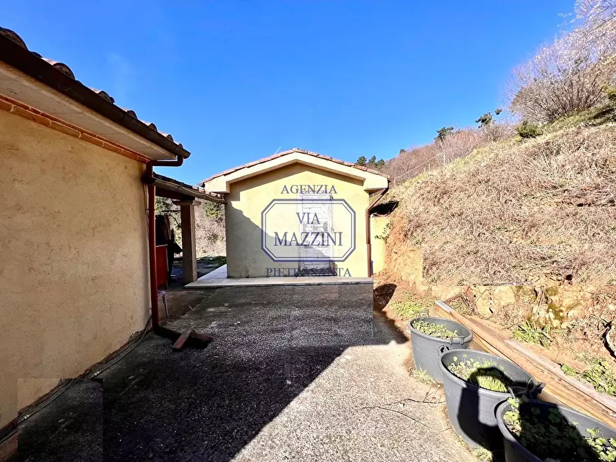 Immagine 15 di Casa colonica in vendita  a Pietrasanta