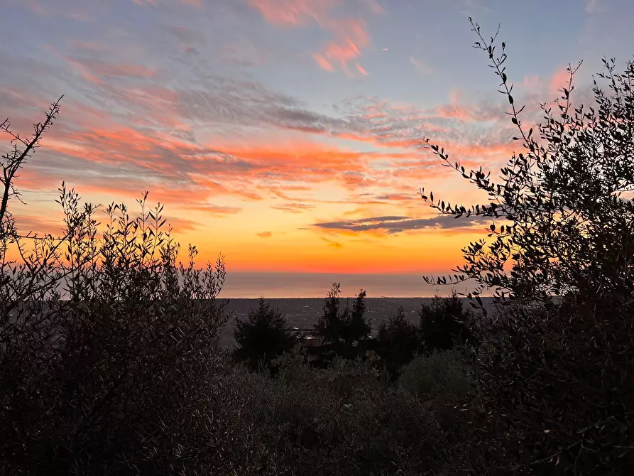 Immagine 27 di Casa colonica in vendita  a Pietrasanta