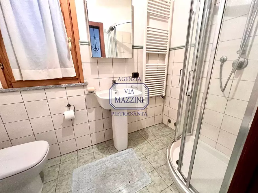 Immagine 27 di Villa in vendita  a Pietrasanta