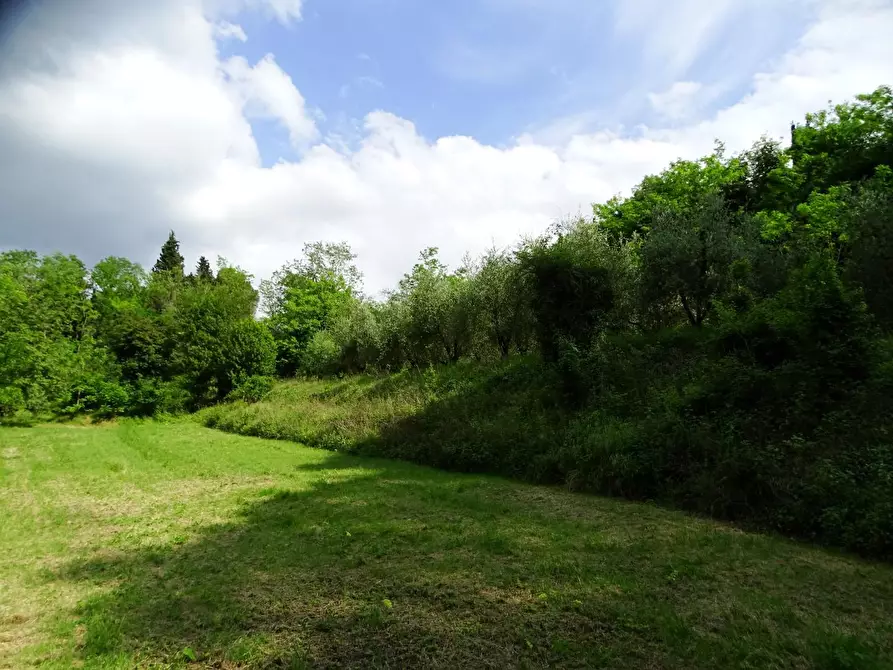 Immagine 17 di Terreno agricolo in vendita  a San Miniato