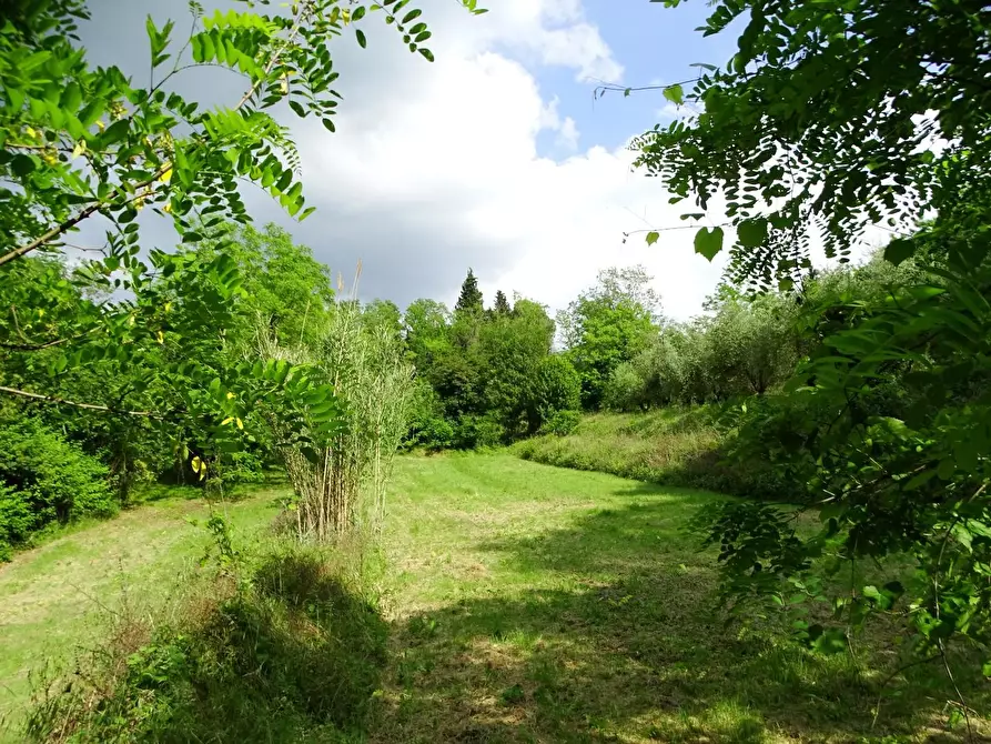 Immagine 18 di Terreno agricolo in vendita  a San Miniato