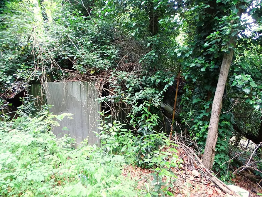 Immagine 22 di Terreno agricolo in vendita  a San Miniato