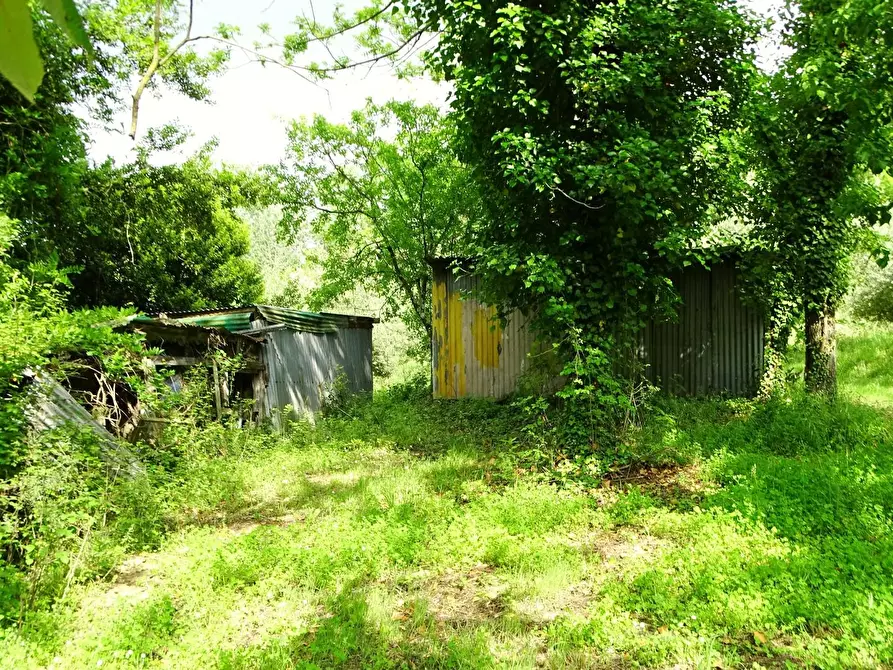 Immagine 14 di Terreno agricolo in vendita  a San Miniato