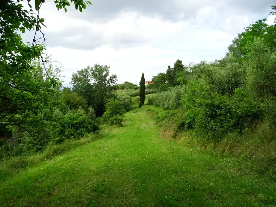 Immagine 3 di Terreno agricolo in vendita  a San Miniato