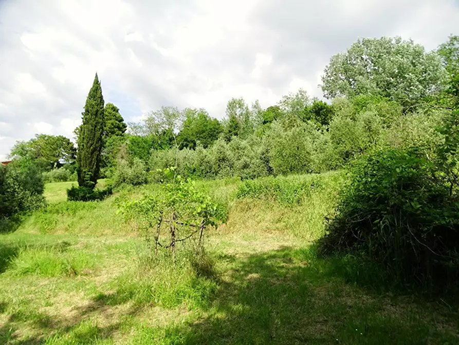 Immagine 9 di Terreno agricolo in vendita  a San Miniato