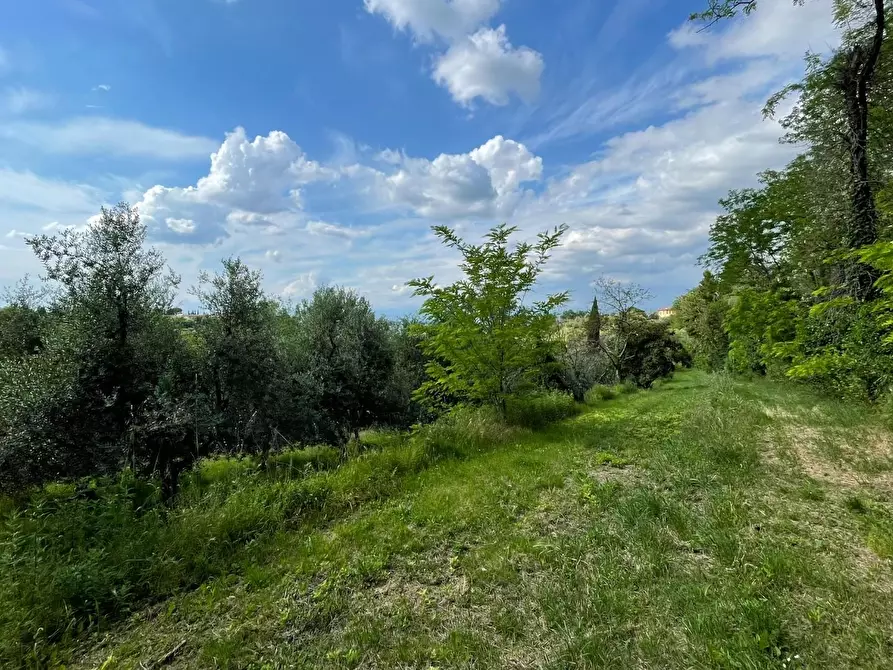 Immagine 1 di Terreno agricolo in vendita  a San Miniato