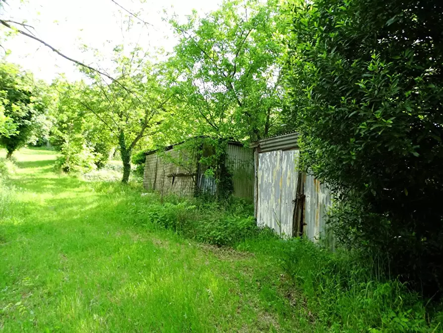 Immagine 11 di Terreno agricolo in vendita  a San Miniato
