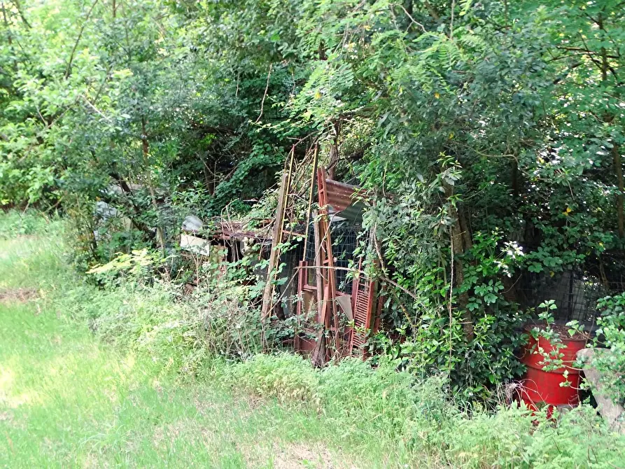 Immagine 10 di Terreno agricolo in vendita  a San Miniato