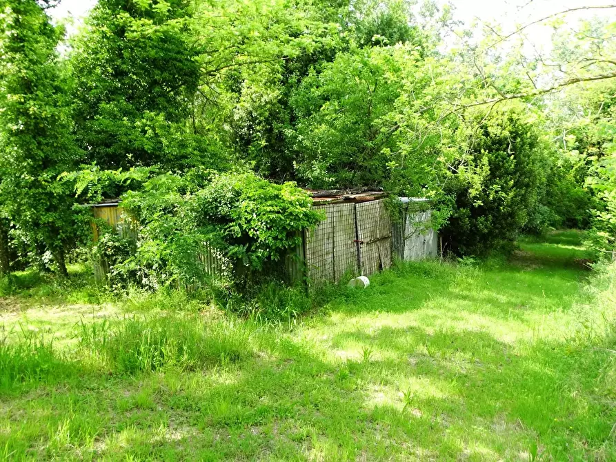 Immagine 12 di Terreno agricolo in vendita  a San Miniato