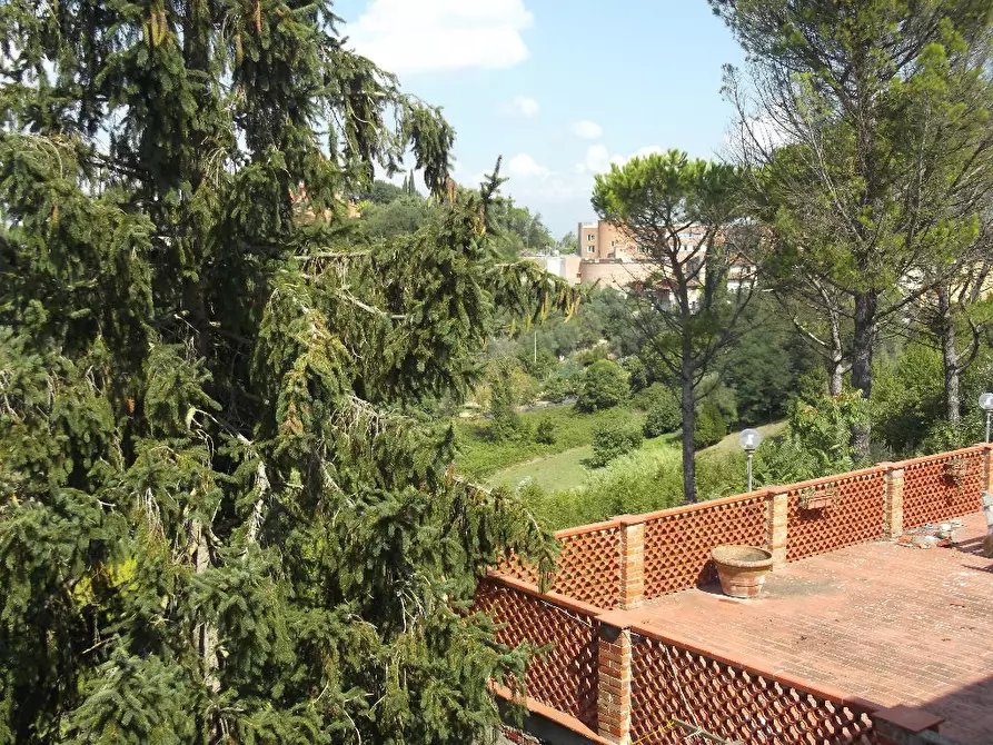 Immagine 12 di Terratetto in vendita  a San Miniato