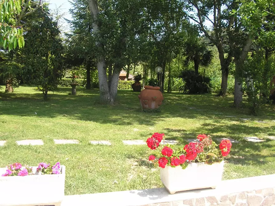 Immagine 10 di Villa in vendita  a Fauglia