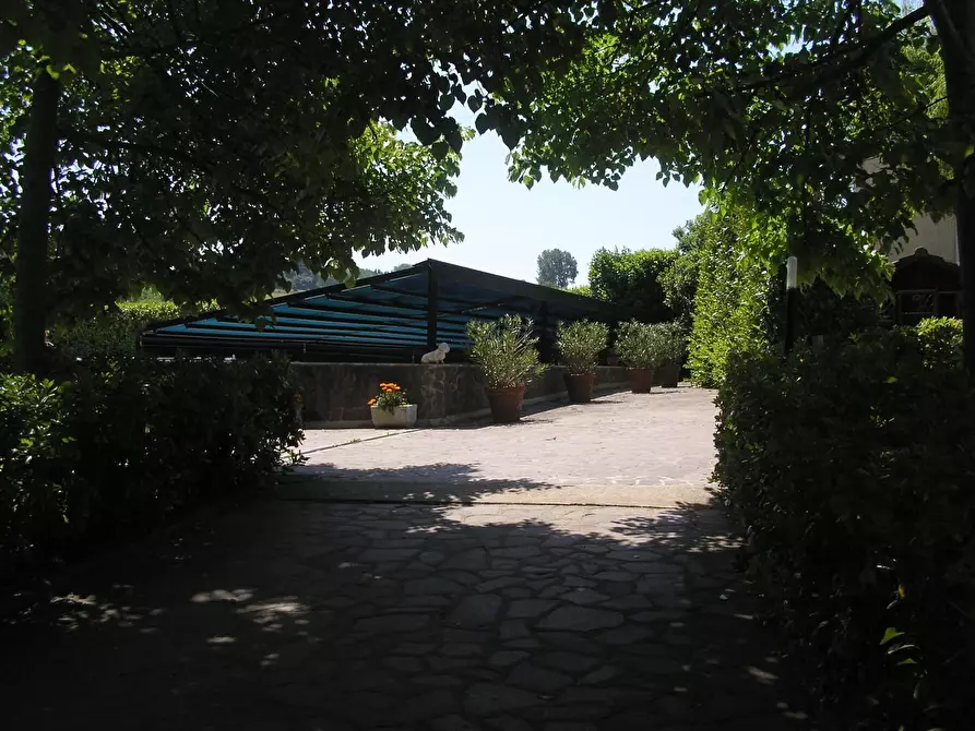 Immagine 5 di Villa in vendita  a Fauglia