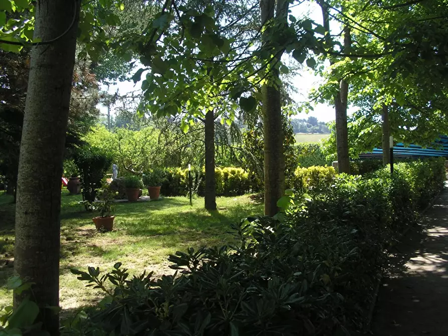 Immagine 4 di Villa in vendita  a Fauglia