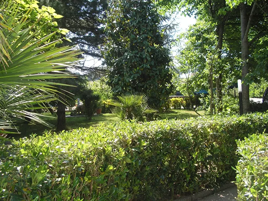 Immagine 34 di Villa in vendita  a Fauglia