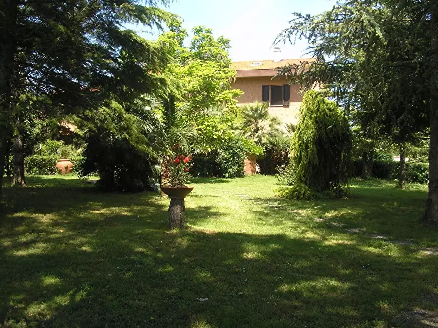 Immagine 11 di Villa in vendita  a Fauglia