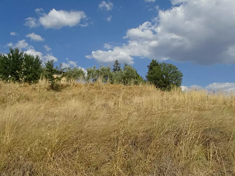 Immagine 15 di Deposito in vendita  a Gambassi Terme