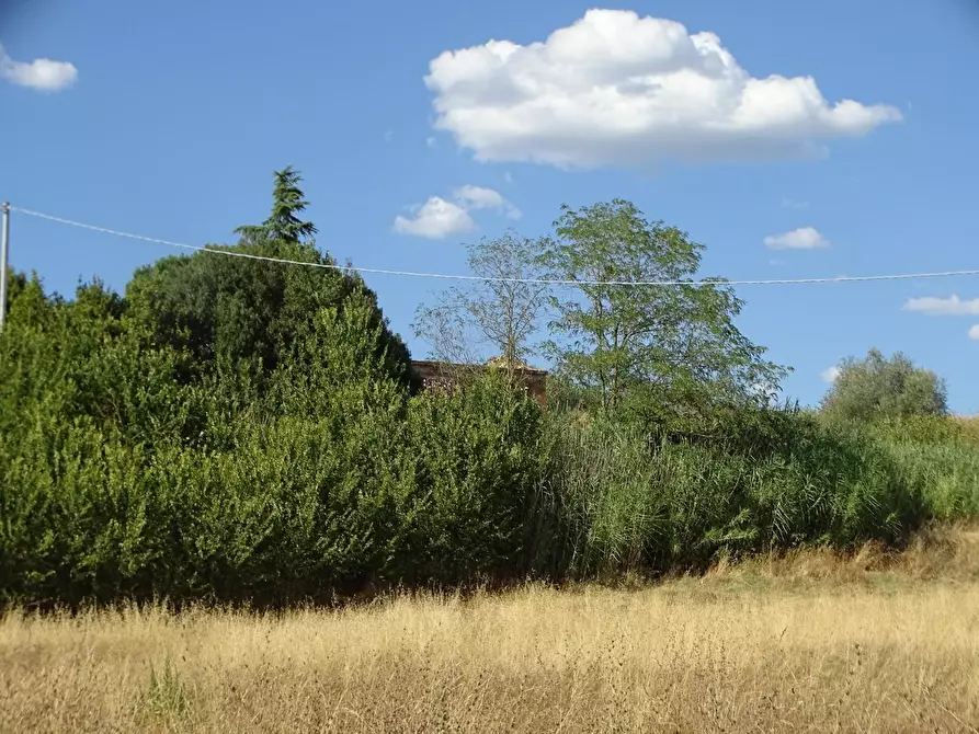 Immagine 18 di Deposito in vendita  a Gambassi Terme