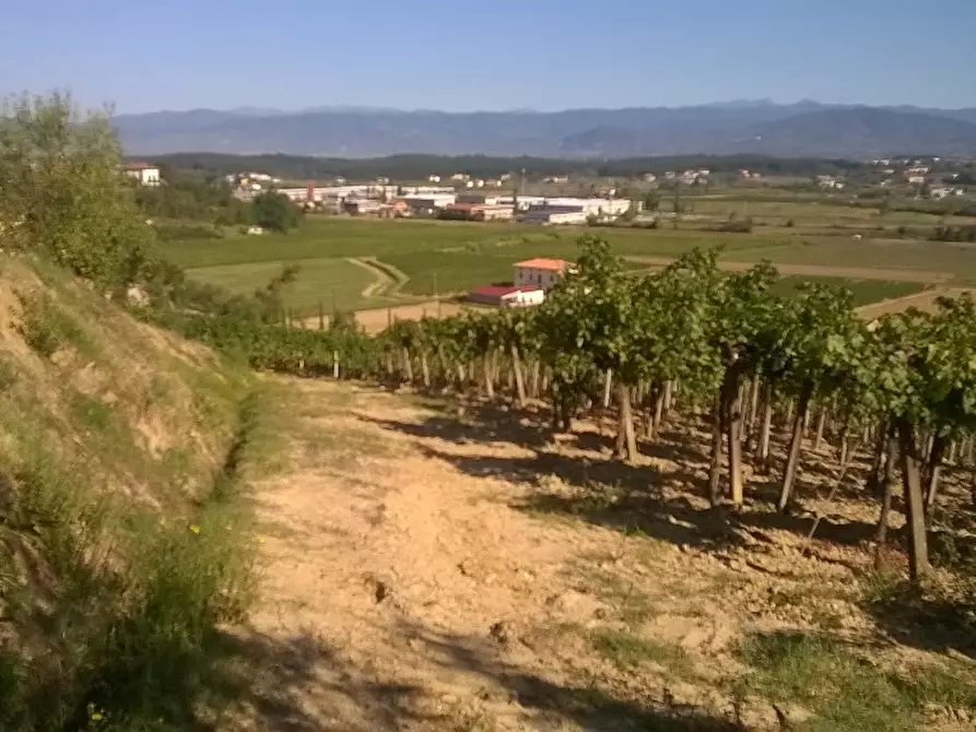 Immagine 11 di Azienda agricola in vendita  a Cerreto Guidi