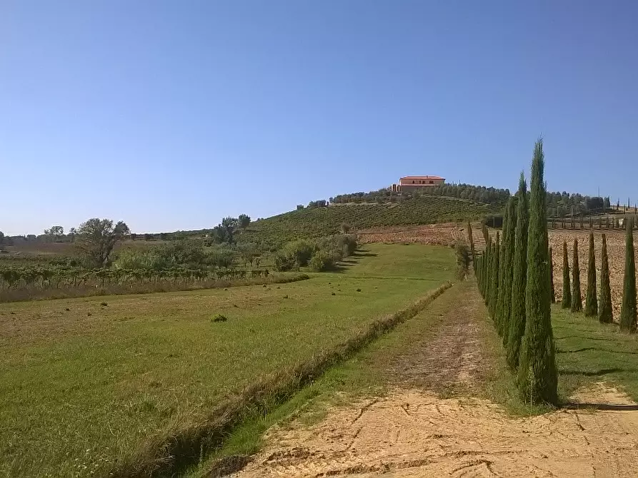 Immagine 2 di Azienda agricola in vendita  a Cerreto Guidi