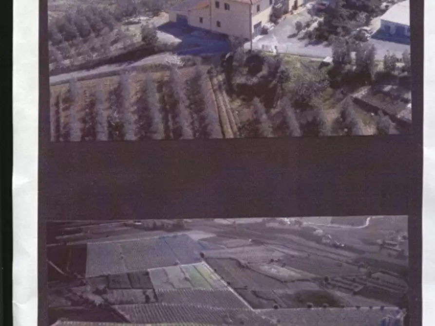 Immagine 27 di Azienda agricola in vendita  a Cerreto Guidi
