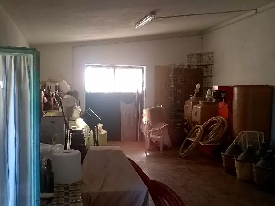 Immagine 19 di Azienda agricola in vendita  a Cerreto Guidi