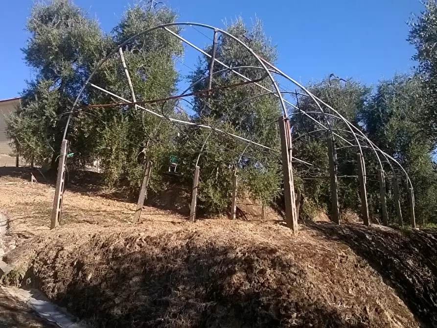 Immagine 8 di Azienda agricola in vendita  a Cerreto Guidi