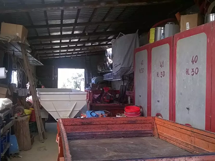 Immagine 22 di Azienda agricola in vendita  a Cerreto Guidi