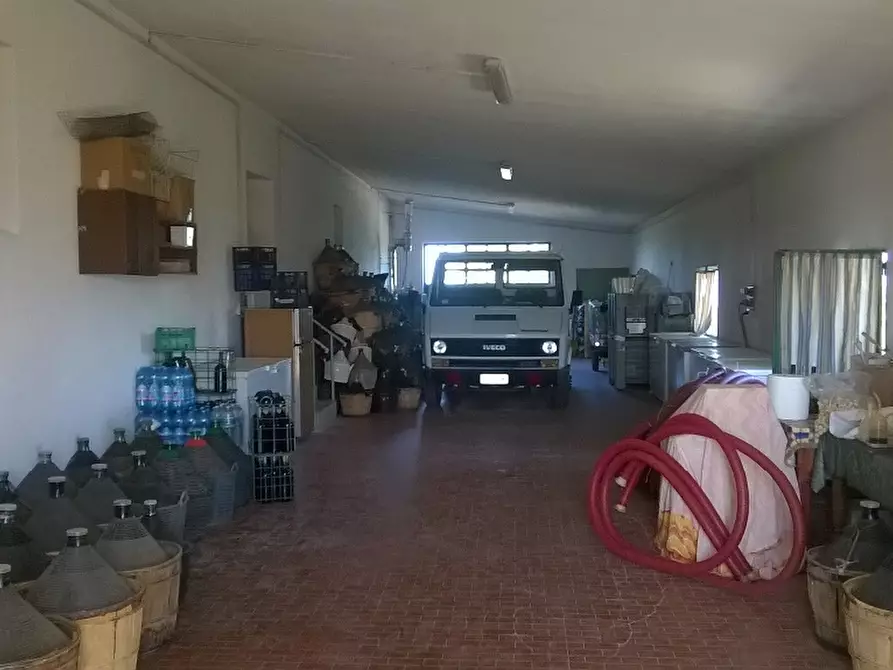 Immagine 20 di Azienda agricola in vendita  a Cerreto Guidi