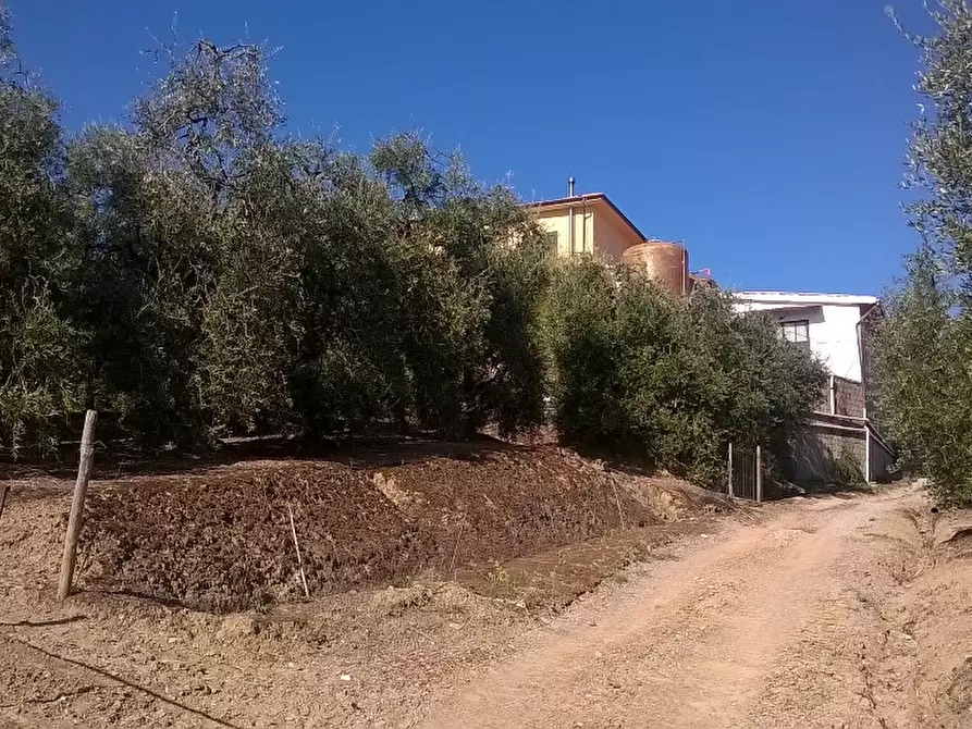 Immagine 9 di Azienda agricola in vendita  a Cerreto Guidi