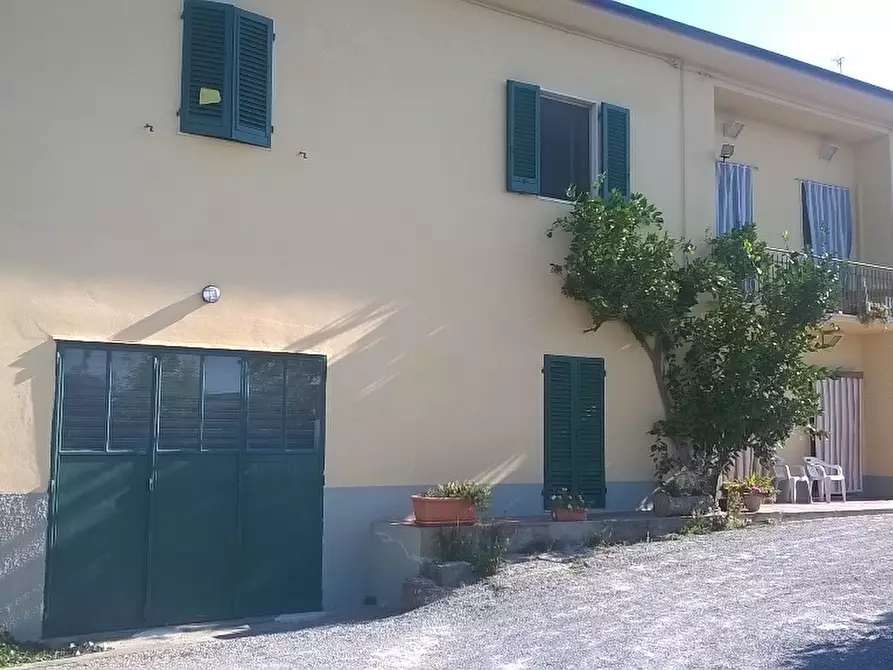 Immagine 4 di Azienda agricola in vendita  a Cerreto Guidi