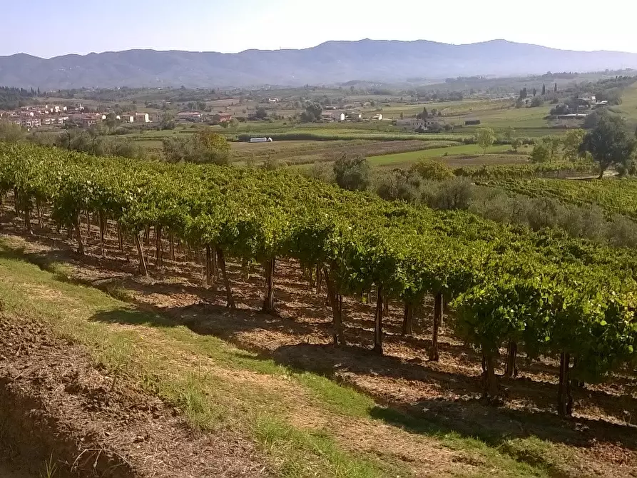 Immagine 7 di Azienda agricola in vendita  a Cerreto Guidi
