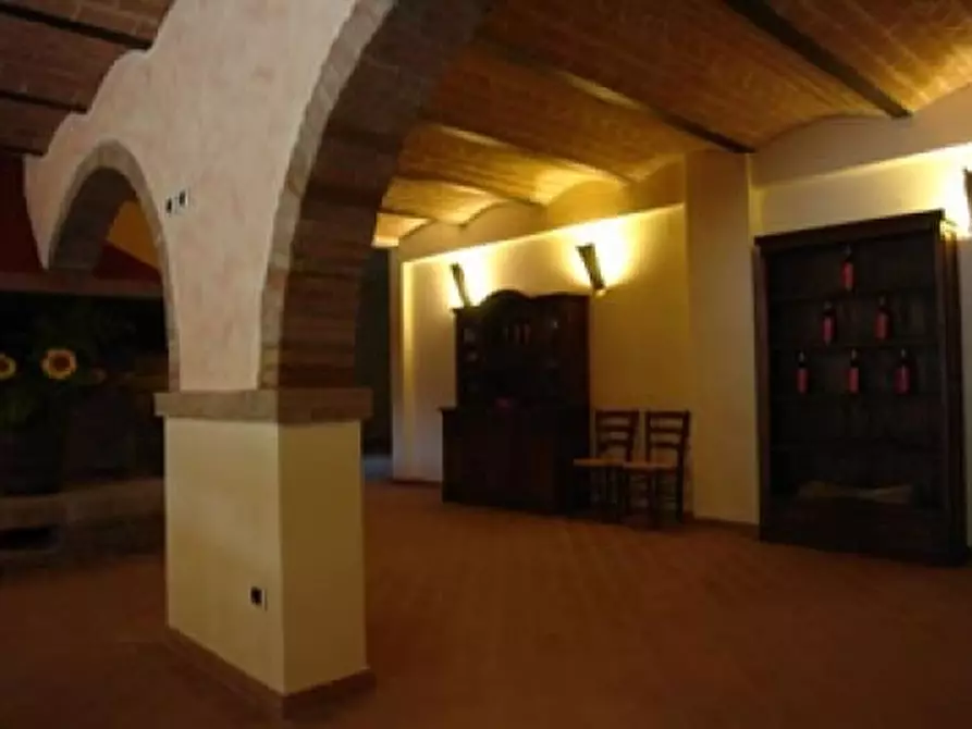 Immagine 4 di Azienda agricola in vendita  a San Miniato