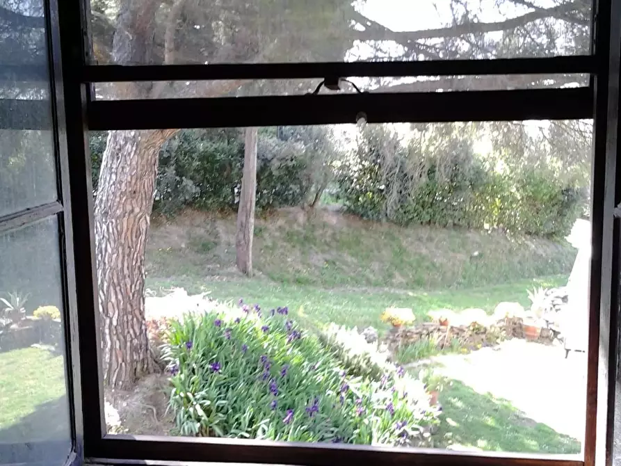 Immagine 21 di Villa in vendita  a San Miniato