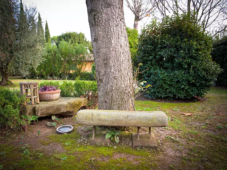 Immagine 34 di Villa in vendita  a Santa Croce Sull'arno