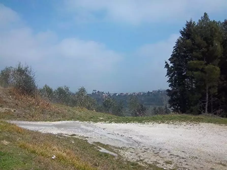 Immagine 1 di Terreno agricolo in vendita  a San Miniato