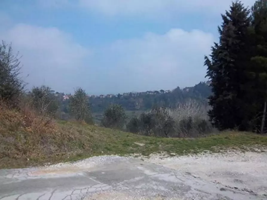 Immagine 2 di Terreno agricolo in vendita  a San Miniato