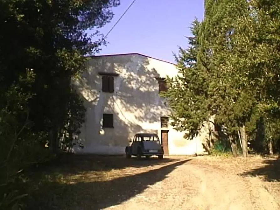 Immagine 1 di Azienda agricola in vendita  a Castelfiorentino