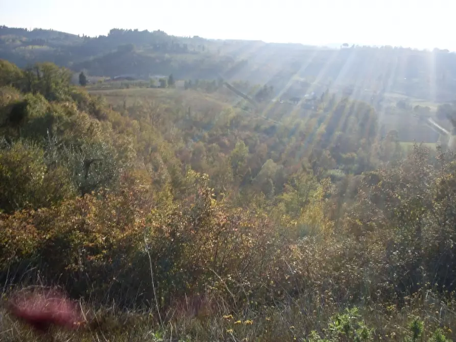 Immagine 2 di Terreno agricolo in vendita  a San Miniato