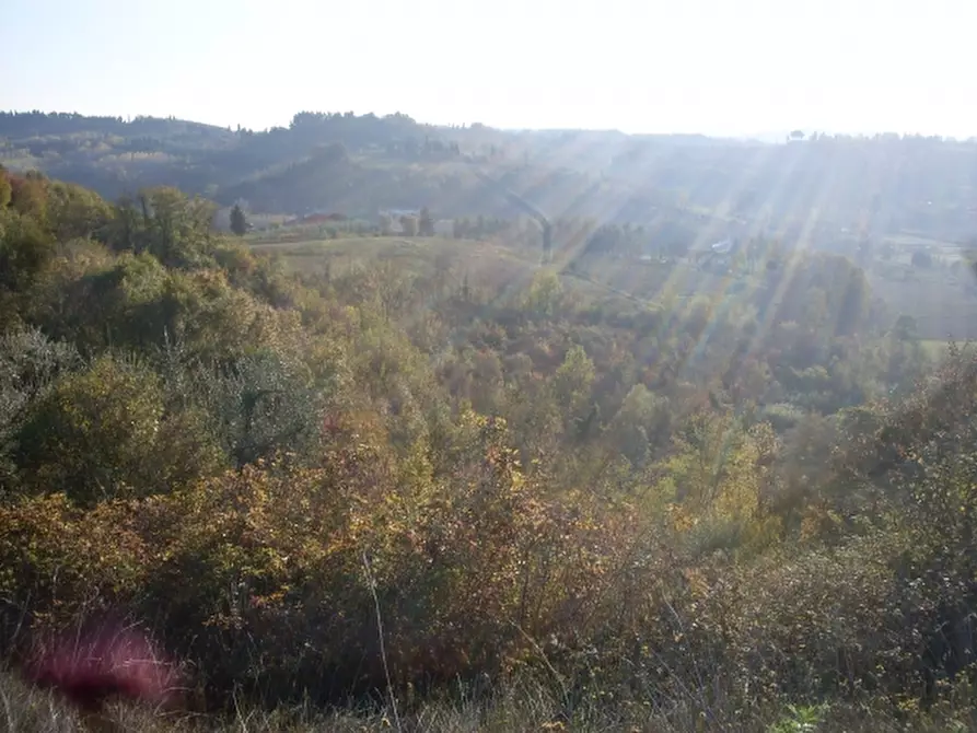 Immagine 1 di Terreno agricolo in vendita  a San Miniato