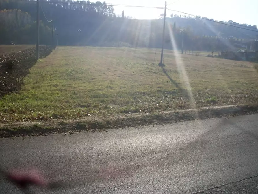 Immagine 2 di Terreno agricolo in vendita  a San Miniato