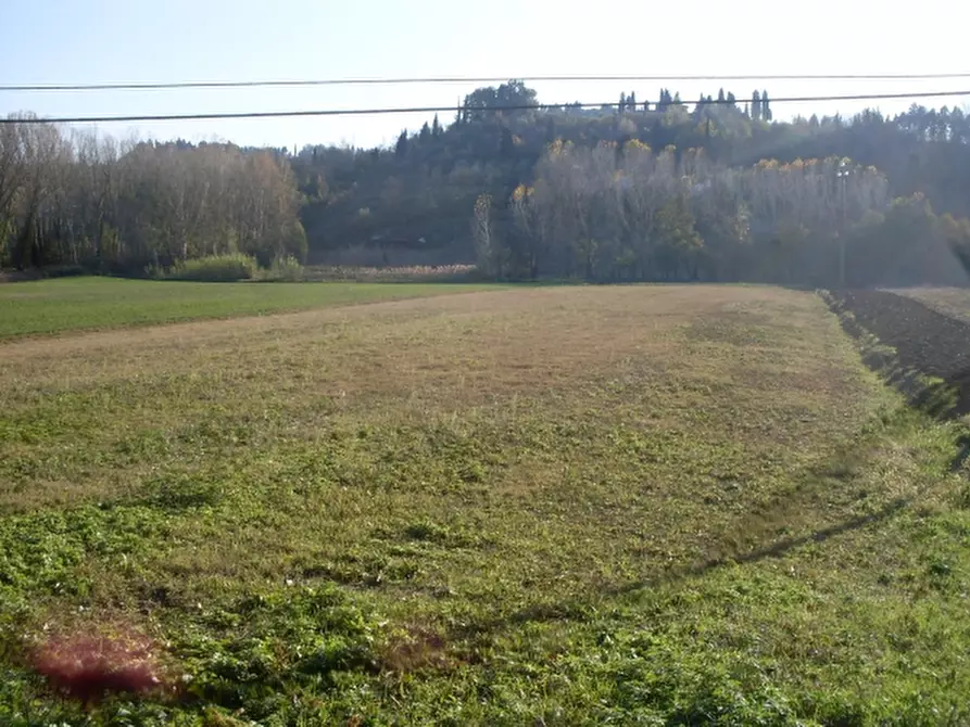 Immagine 1 di Terreno agricolo in vendita  a San Miniato