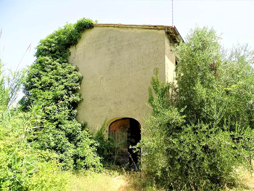 Immagine 1 di Casa colonica in vendita  a Montopoli In Val D'arno