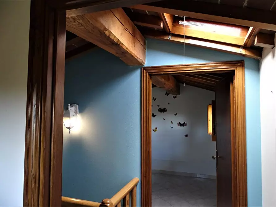 Immagine 18 di Terratetto in vendita  a San Miniato