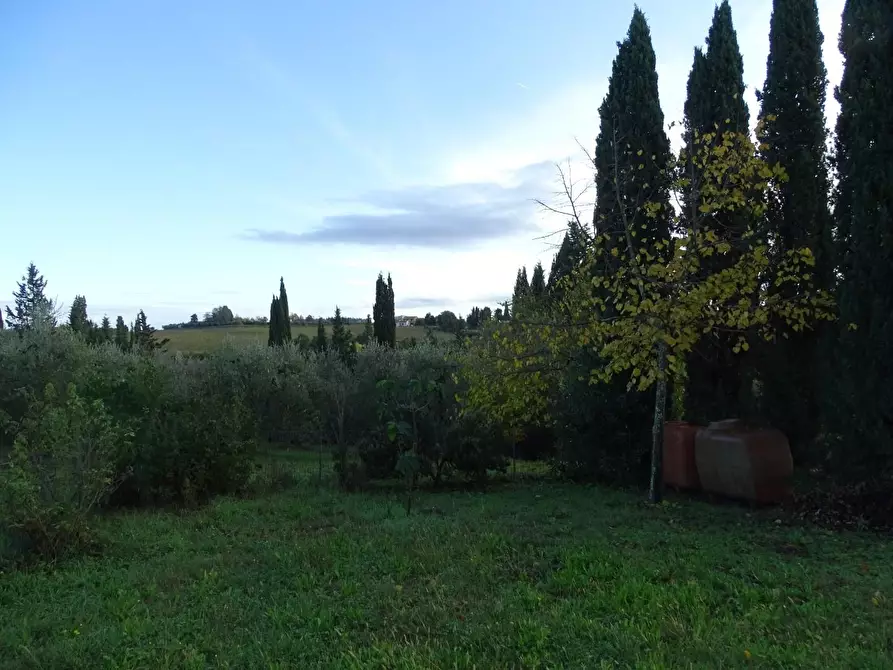 Immagine 30 di Terratetto in vendita  a San Miniato