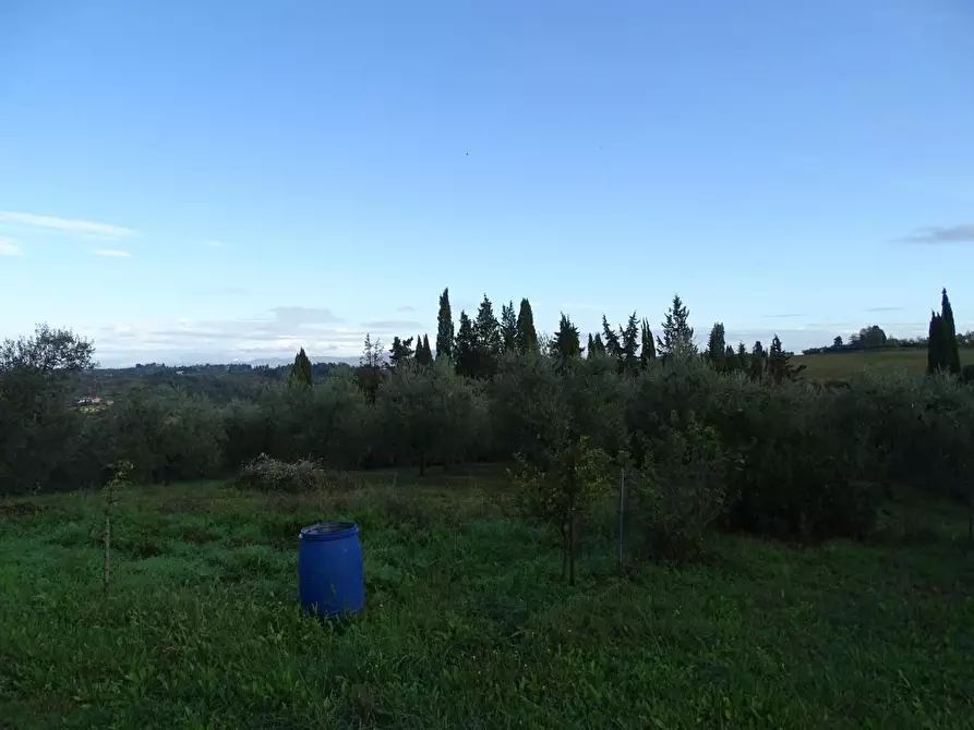 Immagine 29 di Terratetto in vendita  a San Miniato