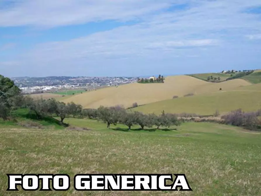 Immagine 1 di Terreno agricolo in vendita  a San Miniato