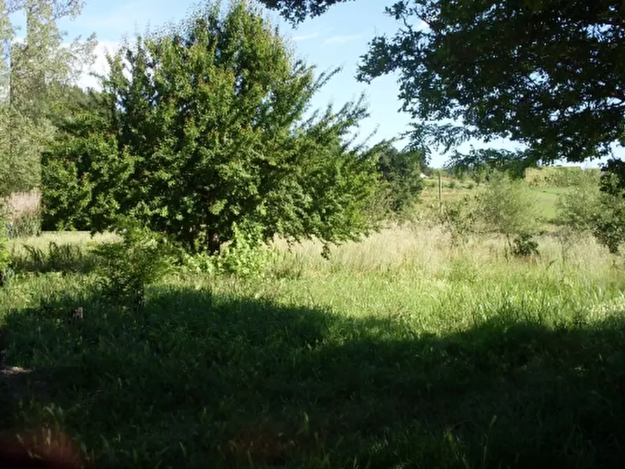 Immagine 1 di Terreno agricolo in vendita  a San Miniato