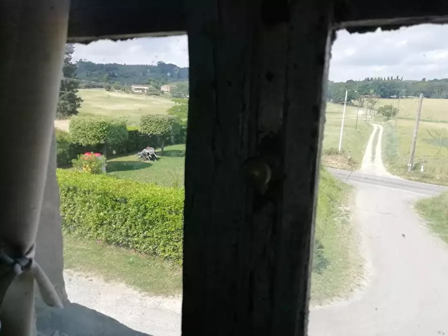 Immagine 11 di Terratetto in vendita  a San Miniato