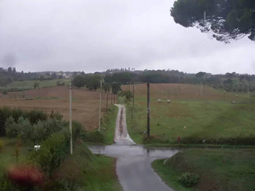 Immagine 4 di Terratetto in vendita  a San Miniato